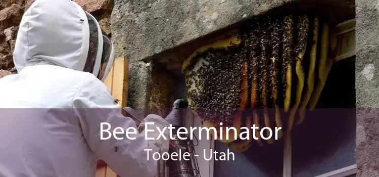 Bee Exterminator Tooele - Utah