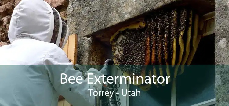 Bee Exterminator Torrey - Utah