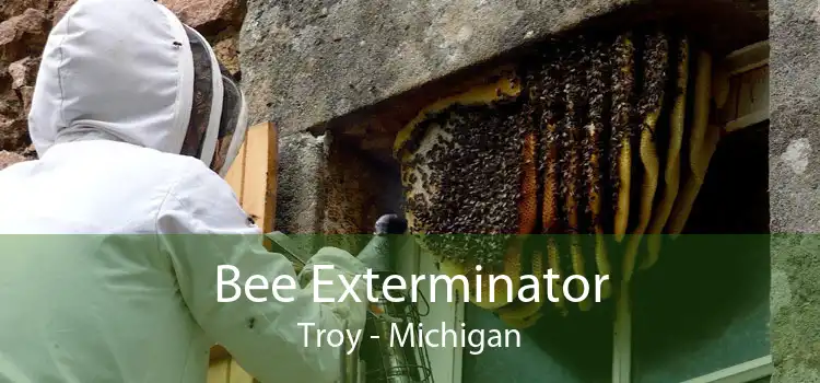 Bee Exterminator Troy - Michigan