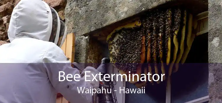 Bee Exterminator Waipahu - Hawaii