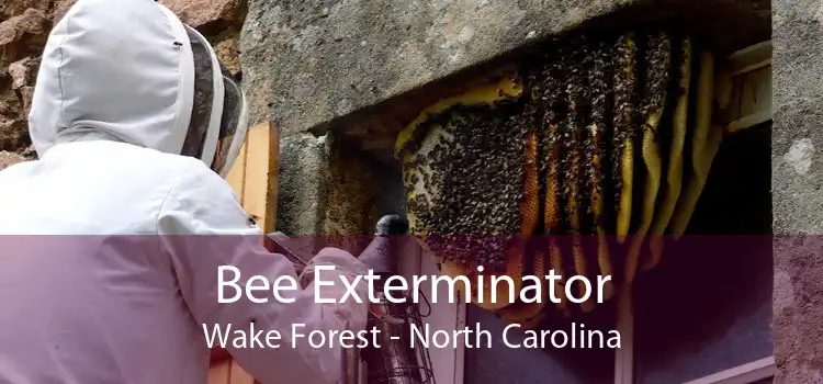 Bee Exterminator Wake Forest - North Carolina