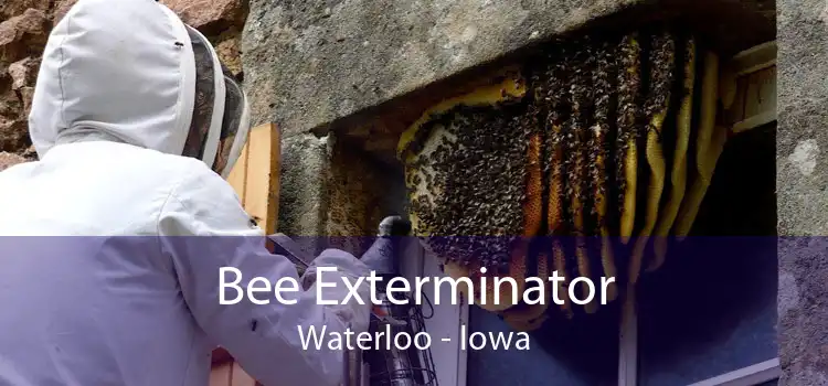 Bee Exterminator Waterloo - Iowa