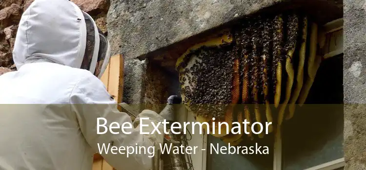 Bee Exterminator Weeping Water - Nebraska