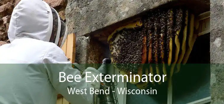 Bee Exterminator West Bend - Wisconsin