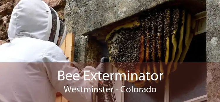 Bee Exterminator Westminster - Colorado