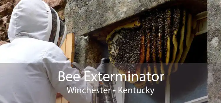 Bee Exterminator Winchester - Kentucky