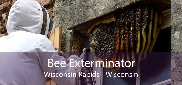 Bee Exterminator Wisconsin Rapids - Wisconsin