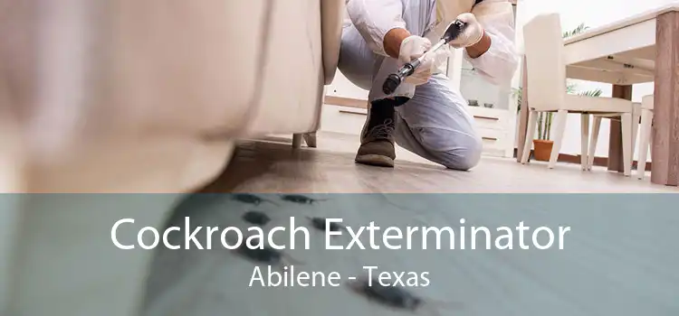Cockroach Exterminator Abilene - Texas