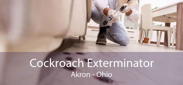 Cockroach Exterminator Akron - Ohio