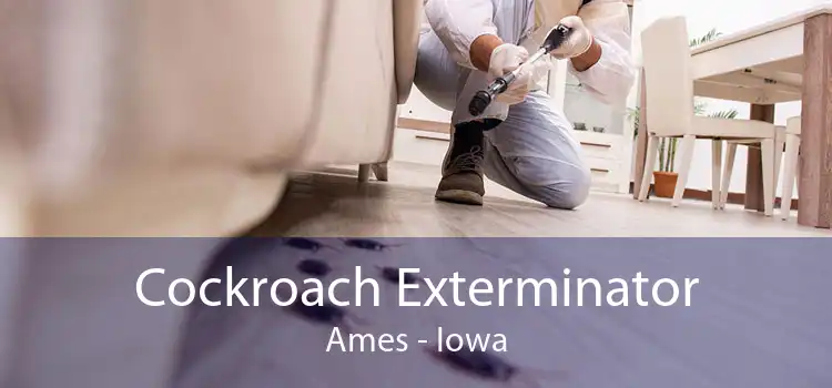 Cockroach Exterminator Ames - Iowa