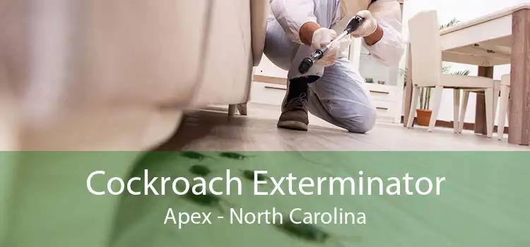 Cockroach Exterminator Apex - North Carolina