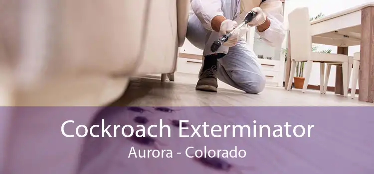 Cockroach Exterminator Aurora - Colorado