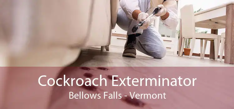Cockroach Exterminator Bellows Falls - Vermont