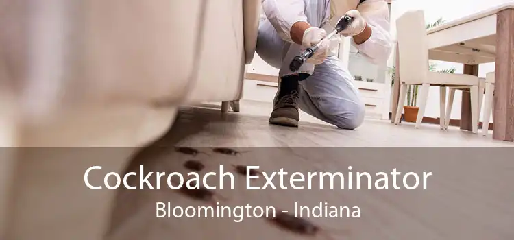 Cockroach Exterminator Bloomington - Indiana
