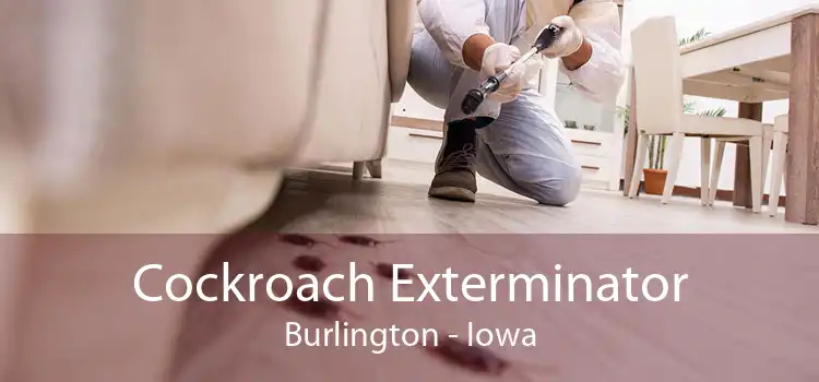 Cockroach Exterminator Burlington - Iowa