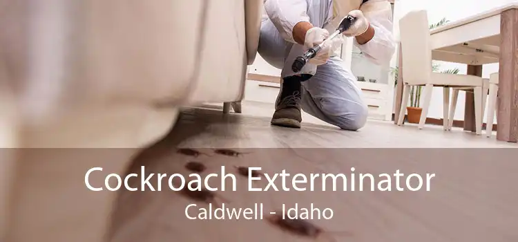 Cockroach Exterminator Caldwell - Idaho