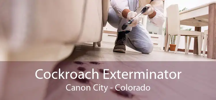 Cockroach Exterminator Canon City - Colorado