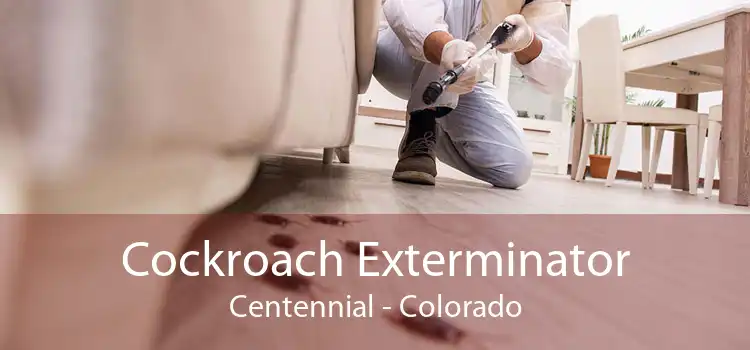 Cockroach Exterminator Centennial - Colorado
