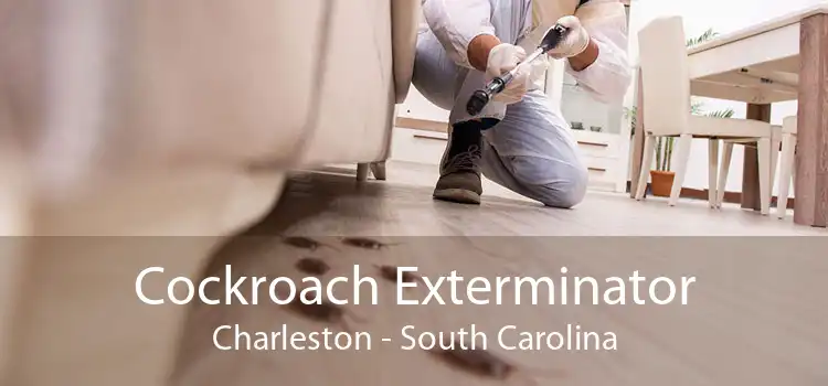Cockroach Exterminator Charleston - South Carolina