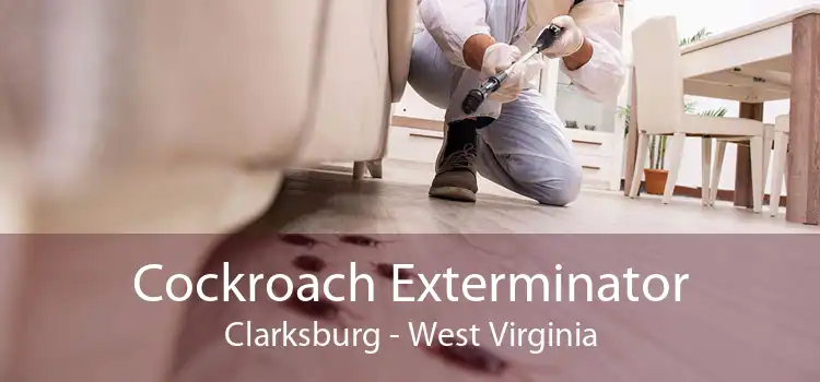 Cockroach Exterminator Clarksburg - West Virginia