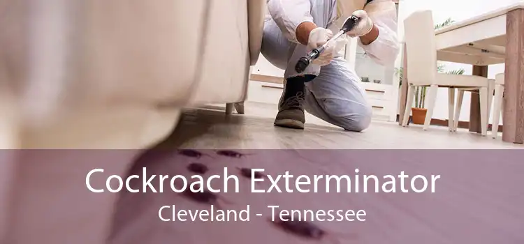 Cockroach Exterminator Cleveland - Tennessee
