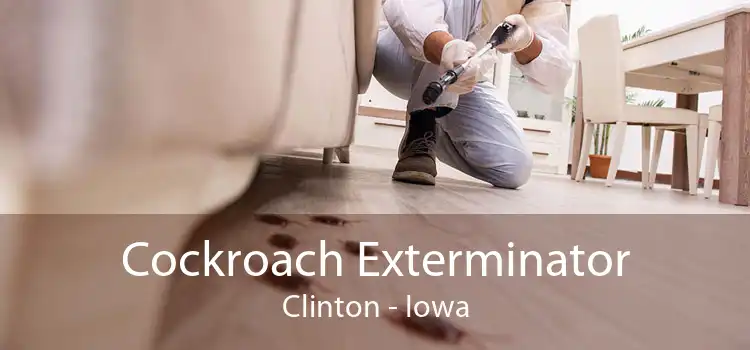 Cockroach Exterminator Clinton - Iowa
