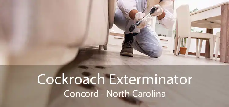 Cockroach Exterminator Concord - North Carolina