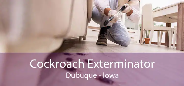 Cockroach Exterminator Dubuque - Iowa