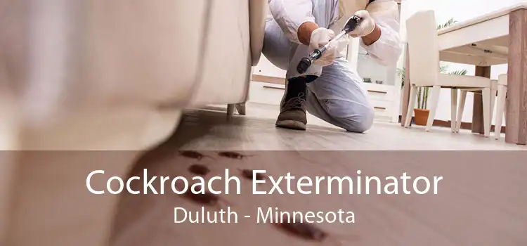 Cockroach Exterminator Duluth - Minnesota