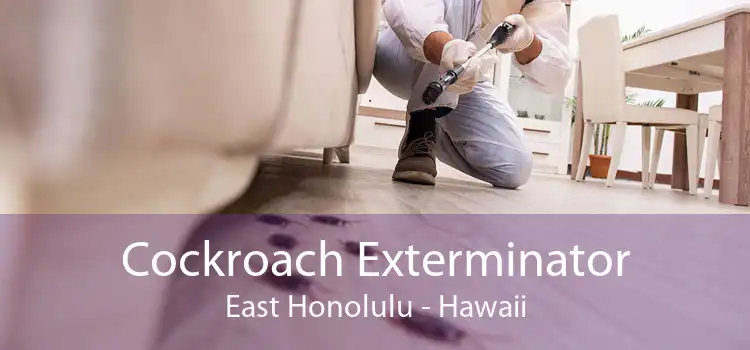 Cockroach Exterminator East Honolulu - Hawaii