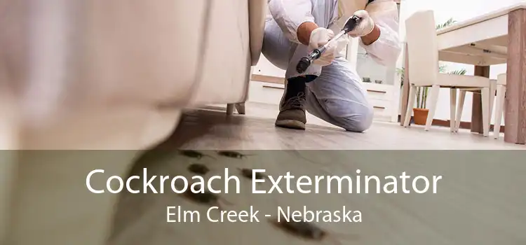 Cockroach Exterminator Elm Creek - Nebraska