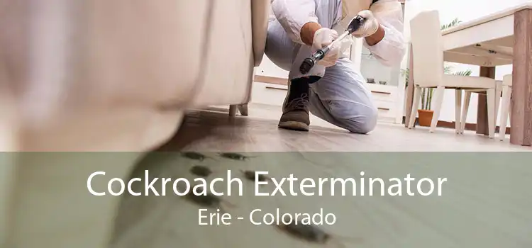 Cockroach Exterminator Erie - Colorado