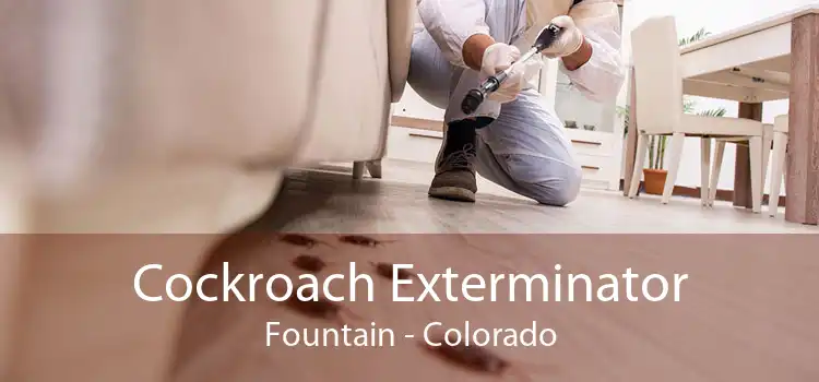 Cockroach Exterminator Fountain - Colorado