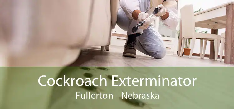 Cockroach Exterminator Fullerton - Nebraska