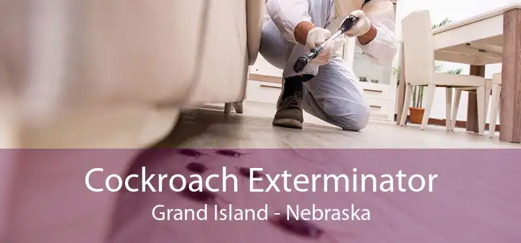 Cockroach Exterminator Grand Island - Nebraska