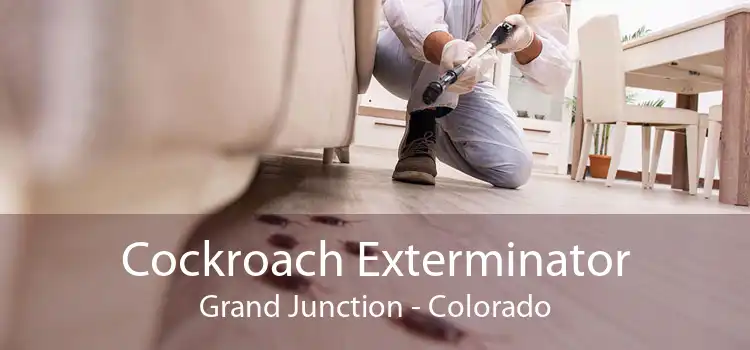 Cockroach Exterminator Grand Junction - Colorado