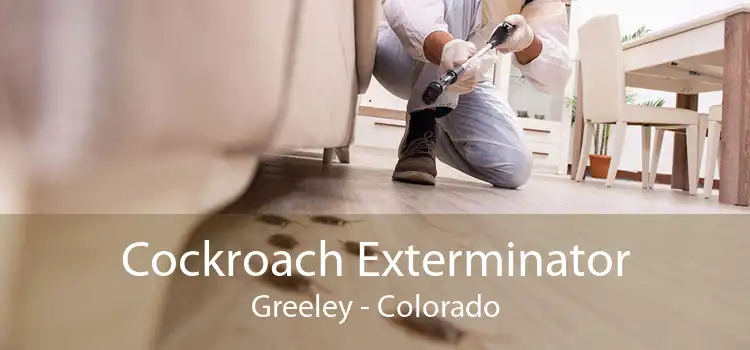 Cockroach Exterminator Greeley - Colorado