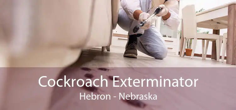 Cockroach Exterminator Hebron - Nebraska