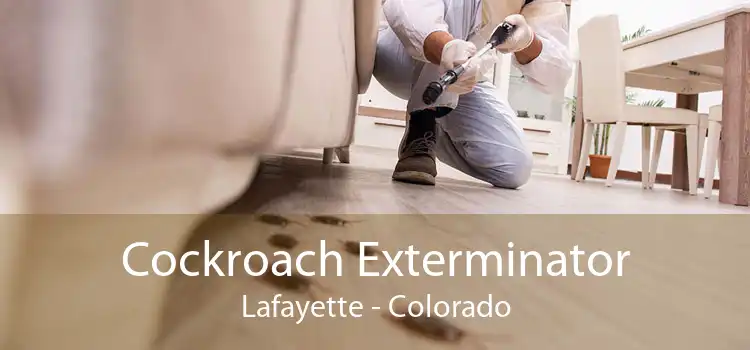 Cockroach Exterminator Lafayette - Colorado