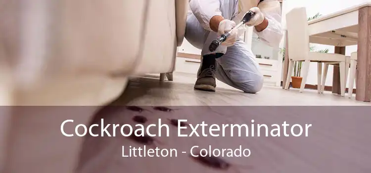 Cockroach Exterminator Littleton - Colorado