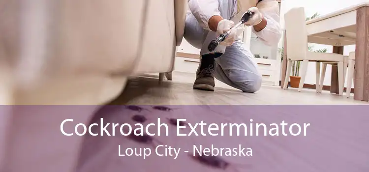 Cockroach Exterminator Loup City - Nebraska