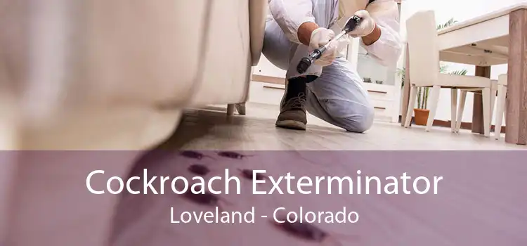 Cockroach Exterminator Loveland - Colorado