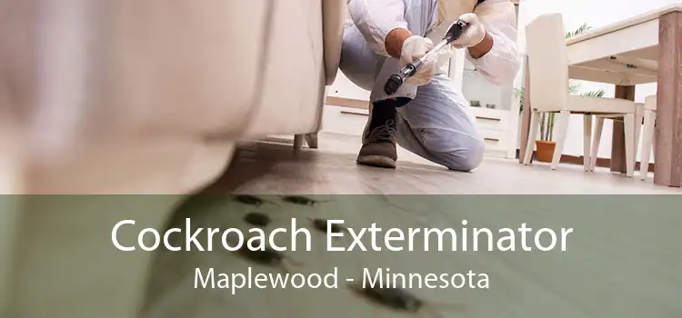 Cockroach Exterminator Maplewood - Minnesota