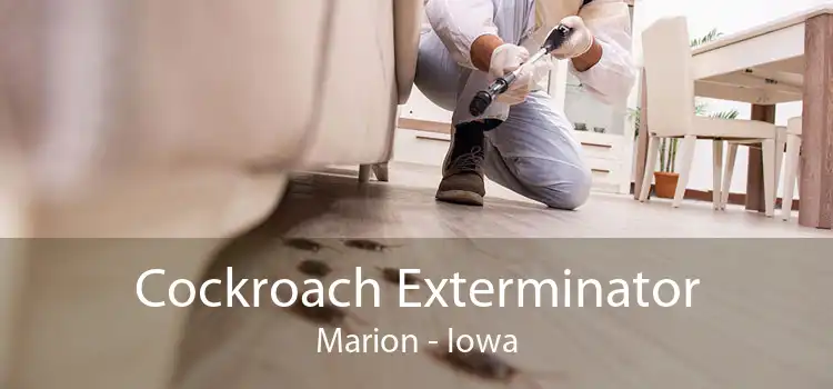 Cockroach Exterminator Marion - Iowa