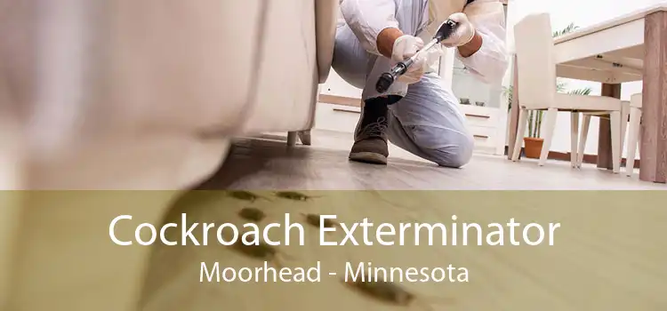 Cockroach Exterminator Moorhead - Minnesota
