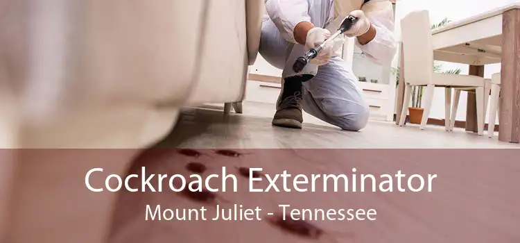 Cockroach Exterminator Mount Juliet - Tennessee
