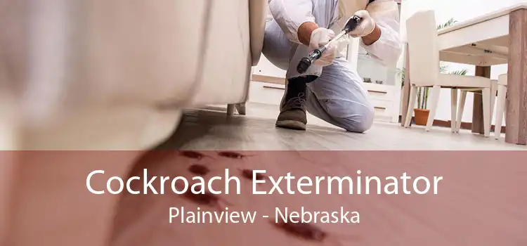 Cockroach Exterminator Plainview - Nebraska