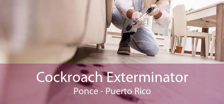 Cockroach Exterminator Ponce - Puerto Rico
