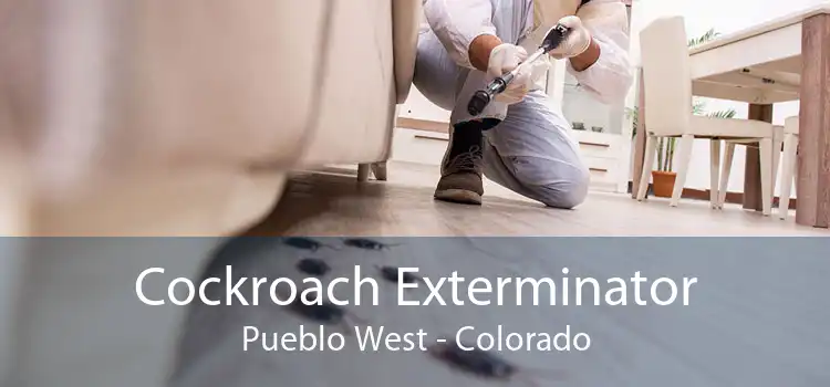 Cockroach Exterminator Pueblo West - Colorado