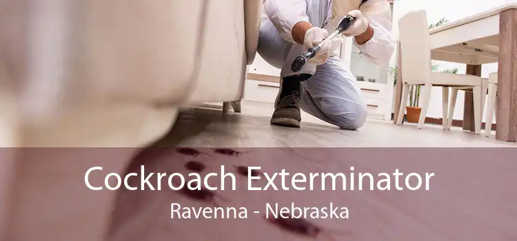 Cockroach Exterminator Ravenna - Nebraska